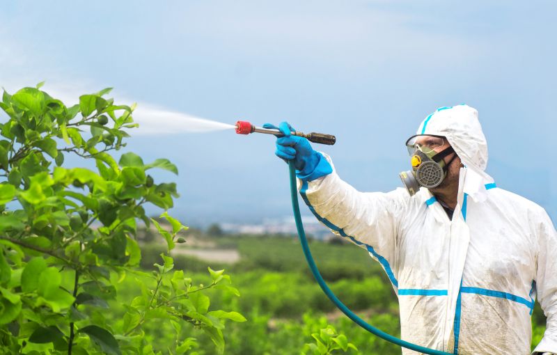 Commercial Fumigation in Fredericksburg, VA