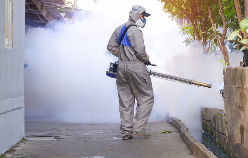 Fly Pest Control in Arlington, TX