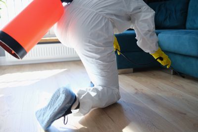 Pest Fumigation Service in Fort Myers, FL