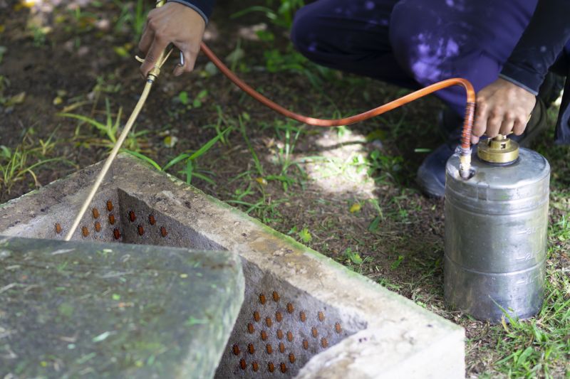 Spider Fumigation Service in Santa Fe, NM
