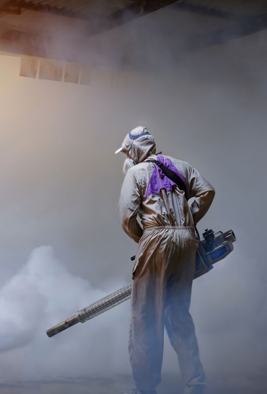 Fumigation Service in Tampa, FL